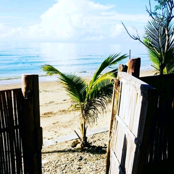 Meet your Posher, Theresa - Picture 1 of 1